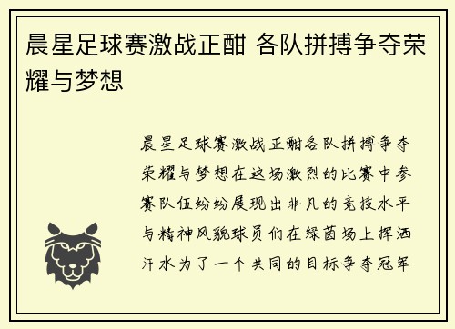 晨星足球赛激战正酣 各队拼搏争夺荣耀与梦想