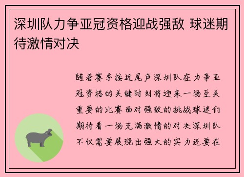 深圳队力争亚冠资格迎战强敌 球迷期待激情对决