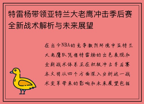 特雷杨带领亚特兰大老鹰冲击季后赛全新战术解析与未来展望