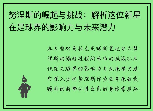 努涅斯的崛起与挑战：解析这位新星在足球界的影响力与未来潜力